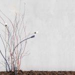 Fleur-banner-2
